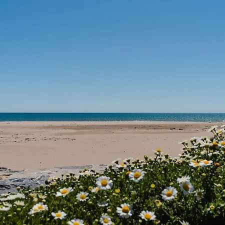 Pavillon Climatise 3 Pieces Avec Terrasse Et Garage, Proche - 4 Couchages - Fr-1-409-68 *